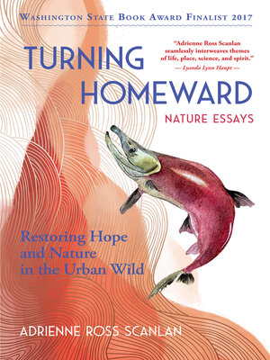 cover image of TURNING HOMEWARD